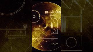 Heres what Voyager spacecrafts Golden Record has for aliens alien nasa space astronomy [upl. by Ecirtel]