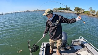 BFS Fishing the Brisbane River  Finding Fish and Bait on Side Imaging [upl. by Ford]