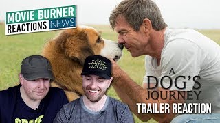 A Dogs Journey Trailer Reaction and Thoughts [upl. by Floeter]