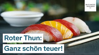 18 Millionen Dollar für einen Thunfisch Darum ist Roter Thun so teuer  Ganz schön teuer [upl. by Chantal]