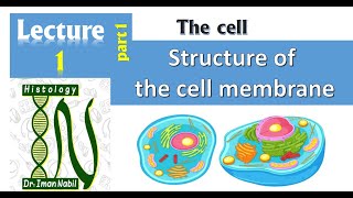 1aStructure of cell membranePart1 Lipids and Proteins [upl. by Airotcivairam]