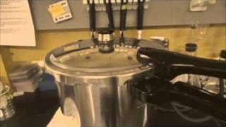 How to Make LB Agar Plates Using a Pressure Cooker [upl. by Ialokin]