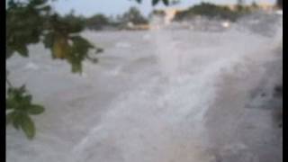 Shocking Footage of the 2011 Tsunami Hitting Hawaii [upl. by Borrell]