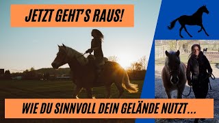 Weg vom Reitplatz Wie du dein Pferd auch im Gelände sinnvoll arbeitest Mit Trainingstipps und All [upl. by Bonny]