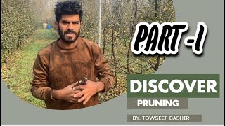 quotGrowing Abundance Pruning Tips for Thriving 3 to 7YearOld Orchards  Farmers Corner Kashmirquot [upl. by Adierf643]