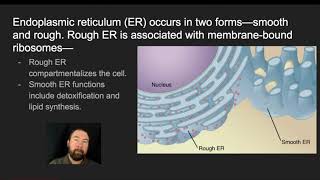 Cell Structure and Function Subcellular Structures [upl. by Ibbor330]