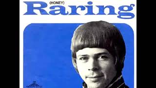 Björn Ulvaeus ABBA  Raring 1968 Honey  Subtitles [upl. by Lowney]