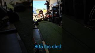 Omg 805 lbs sled pull fyp motivation shorts gym crazy power crazy youtubeshorts reels [upl. by Lawlor]