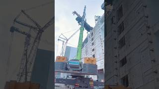 Operator skill Crane to crane lifting from top building cranelifting short skills [upl. by Ailehs]