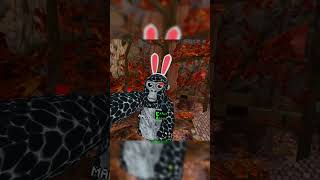 I met marlo  haunt taggers  gorillatag quest2vr gtag quest2 quest1 oculusquest2today vr [upl. by Isbel206]