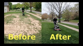 Step by Step Guide to OVERSEEDING Better looking lawn FAST [upl. by Ailem]