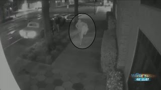 Video shows man with stolen art piece [upl. by Asseral]