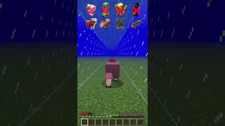 Water Damage vs Different Mobs meme shorts minecraft [upl. by Ayortal]