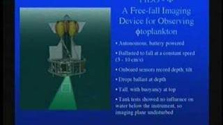 Phytoplankton in the Ocean  Perspectives on Ocean Science [upl. by Menell]