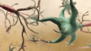 how a synapse works [upl. by Einaffyt]