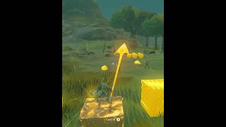 Breath of the Wild Tactical Monster Takeout shorts clips botwclips [upl. by Sosna]