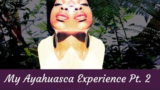 What Ayahuasca Taught Me Pt 2 [upl. by Anahtor]