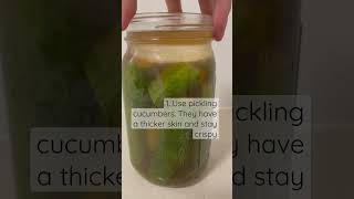 How to make crunchy probiotic pickles gapsdiet guthealth histamineintolerance probiotics [upl. by Botnick980]