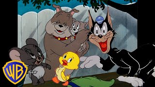 Tom amp Jerry  Best Side Characters 🐣🐶  Classic Cartoon Compilation  wbkids​ [upl. by Septima573]