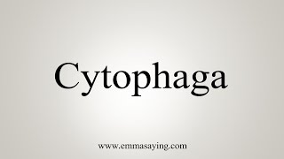 How To Say Cytophaga [upl. by Aleahc]