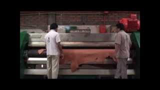 Leather Tanning ProcessChahin Tannery for Weaver Leather [upl. by Biernat]