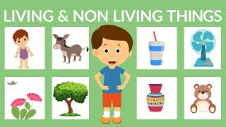 Living and Nonliving Things for Kids  Living Things  Nonliving Things [upl. by Knowle978]