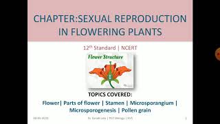 CLASS XII LESSON SEXUAL REPRODUCTION IN FLOWERING PLANTS PART 1 [upl. by Gough]