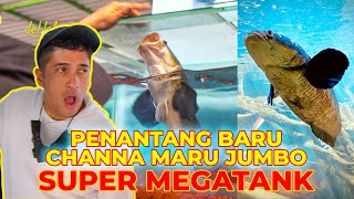 EPS61 PENANTANG CHANNA MARU JUMBO SUPER MEGATANK [upl. by Elmina]