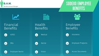 Sodexo Employee Benefits  Benefit Overview Summary [upl. by Zamora528]