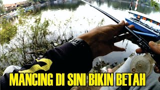 Mancing ikan invasif di situ gede tasikmalaya [upl. by Francklin483]