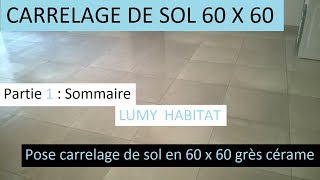 Poser du carrelage de sol 60 x 60  présentation du chantier étape par étape 1 LUMY 40 [upl. by Ayra]