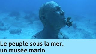 Le peuple sous la mer un musée marin  Thalassa Documentaire [upl. by Gardner925]