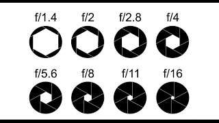 Beginner DSLR Photography basics Aperture and depth of field guide [upl. by Reinnej]