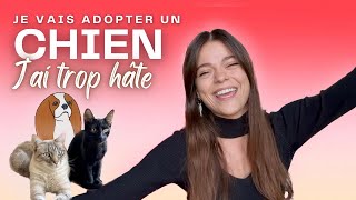 Je vais adopter un CHIEN [upl. by Ahen]