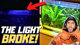 How to Change the Light on the FLUVAL FLEX [upl. by Mharg]