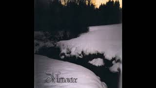 Mittwinter  Vinterdrøm 2002 Winter Synth Dark Ambient [upl. by Ennaxor]