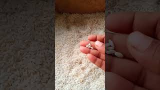 Restion rice lo plastic rice trending  viral [upl. by Freemon]