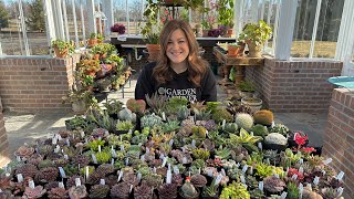 HUGE Succulent Unboxing 😳🌵😍  Garden Answer [upl. by Everard668]