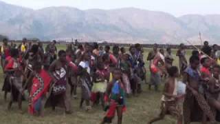 2009 swaziland reed dance 史瓦濟蘭蘆葦節 典禮當天1 [upl. by Neelrad683]