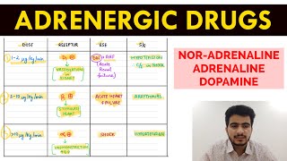 Autonomic Pharmacology  15  NorAdrenaline  Adrenaline amp Dopamine  EOMS [upl. by Rondi]