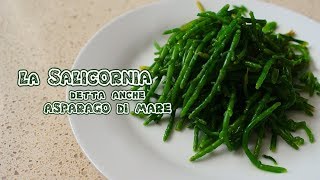 Salicornia o Asparagi di mare [upl. by Nnylear]