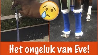 Het ongeluk van Eve  PaardenpraatTV [upl. by Drarreg]