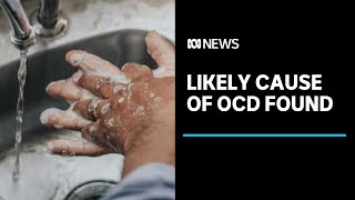 Researchers find likely cause of obsessivecompulsive disorder  ABC News [upl. by Hayalat]