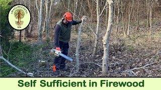 Growing Trees for Firewood  Coppicing  Smallholding UK [upl. by Brower]