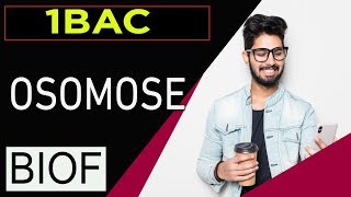 svt 1bac français international maroc plasmolyse et turgescence et osmose [upl. by Keviv358]