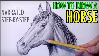 How to Draw a Horse Narrated StepbyStep Tutorial [upl. by Iolande]