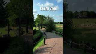 Le Zoo de Cerza CERZA ZOO [upl. by Alleras779]