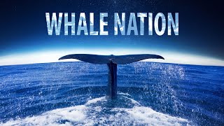 WHALE NATION  Official Trailer  In Cinemas 15 Feb  Celebrate World Whale Day [upl. by Llertnad481]