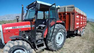 Massey Ferguson 288gold Poşetleri Üzerinde [upl. by Hubble794]