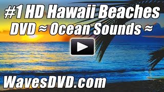 HAWAII BEACHES 1 WAVES DVD HD Video Relaxing Ocean Sounds Best Beach Relax Nature Sleep Relaxation [upl. by Brooke]